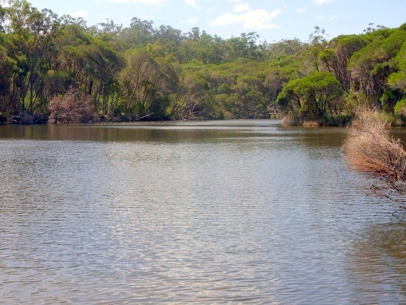 PL2 Ivor Jones Drive, Wonboyn NSW 2551
