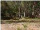 PL2 Ivor Jones Drive, Wonboyn NSW 2551