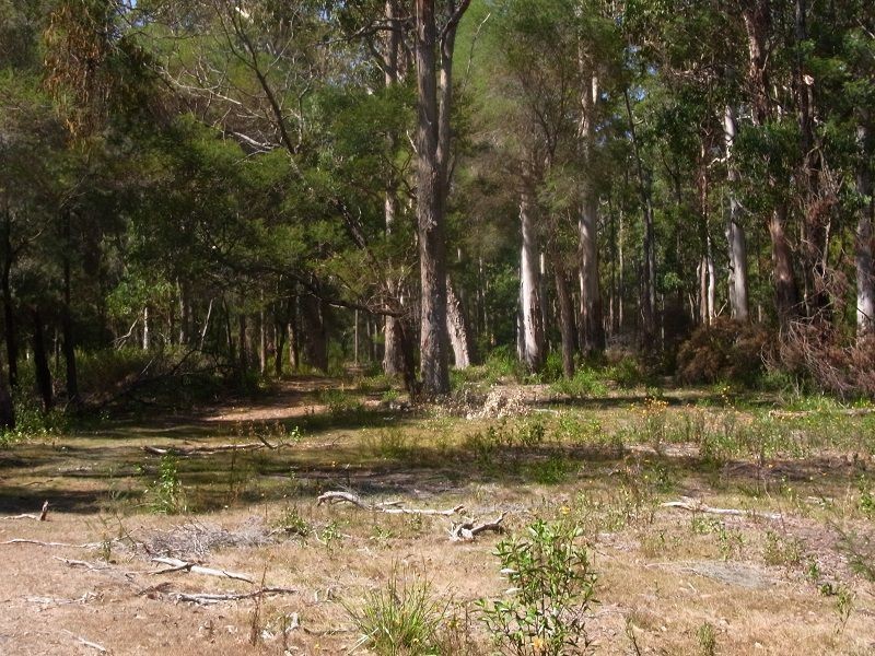 PL2 Ivor Jones Drive, Wonboyn NSW 2551