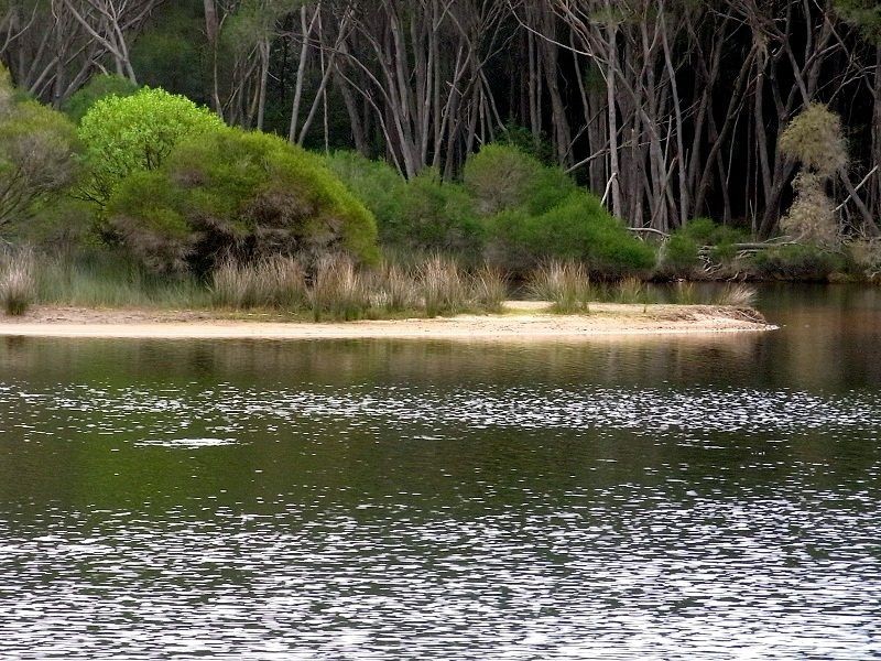 PL2 Ivor Jones Drive, Wonboyn NSW 2551