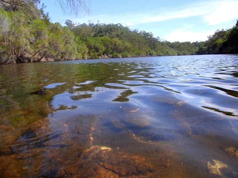 PL2 Ivor Jones Drive, Wonboyn NSW 2551