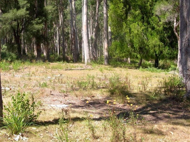 PL2 Ivor Jones Drive, Wonboyn NSW 2551