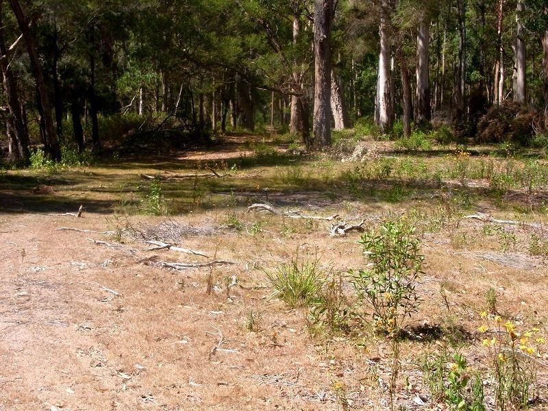 PL2 Ivor Jones Drive, Wonboyn NSW 2551