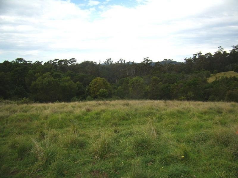L1b Mine Road, Lochiel NSW 2549