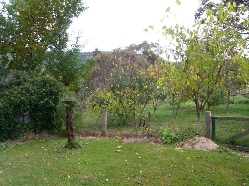 33 Ben Beasley Road, Towamba NSW 2550