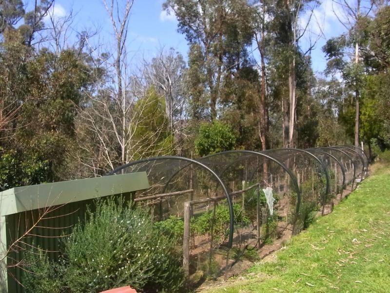 139 Jim McMahon Drive, Kiah NSW 2551