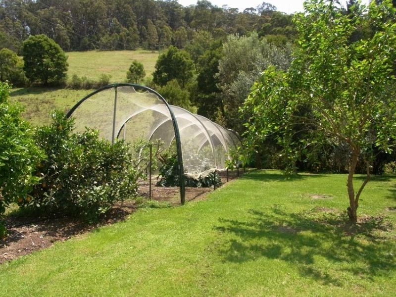 64 Ruggs Road, Nethercote NSW 2549