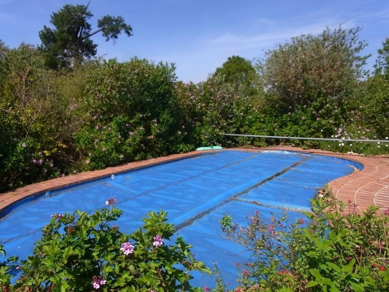 1009 Back Creek Road, Lochiel NSW 2549