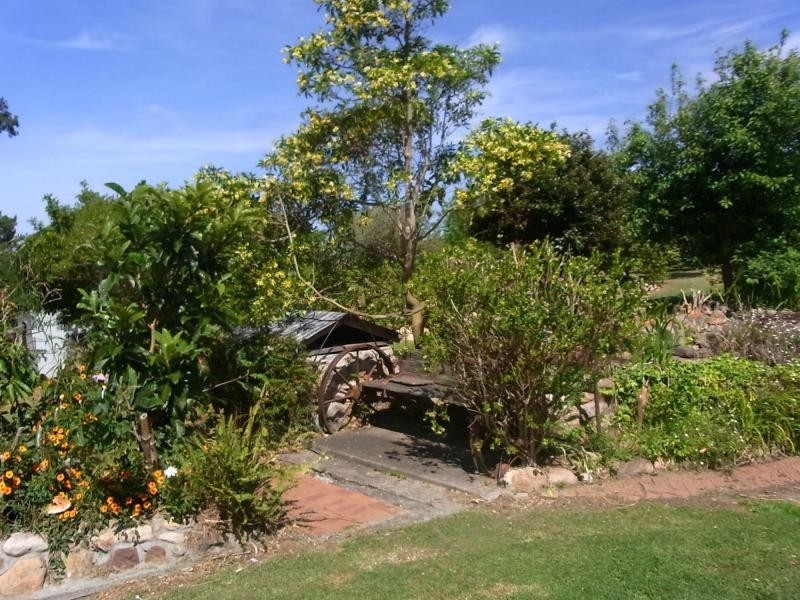 1009 Back Creek Road, Lochiel NSW 2549