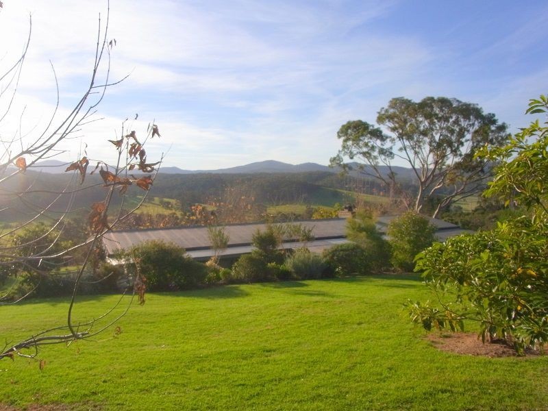 1009 Back Creek Road, Lochiel NSW 2549