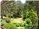 190 Back Creek Road, Nethercote NSW 2549