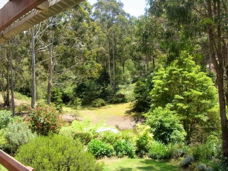190 Back Creek Road, Nethercote NSW 2549