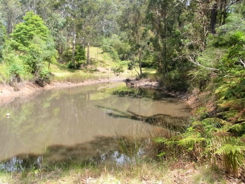190 Back Creek Road, Nethercote NSW 2549