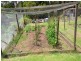 190 Back Creek Road, Nethercote NSW 2549