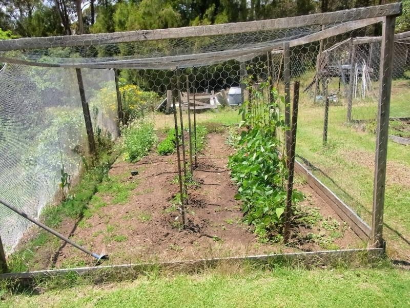 190 Back Creek Road, Nethercote NSW 2549