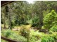 190 Back Creek Road, Nethercote NSW 2549