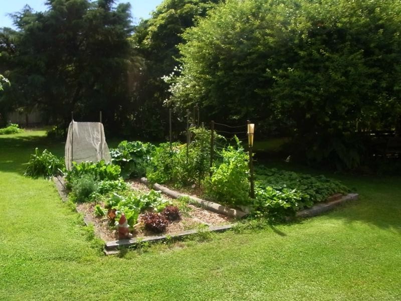 50 Princes Highway, Eden NSW 2551