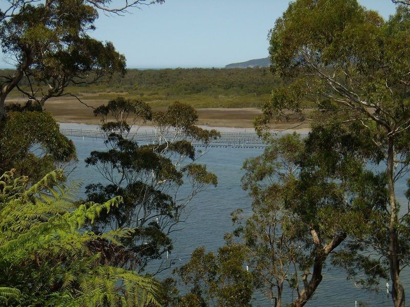 140 Stevens Road, Wonboyn NSW 2551