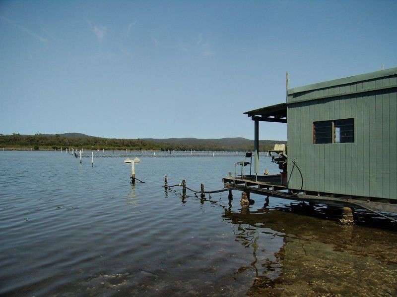 140 Stevens Road, Wonboyn NSW 2551