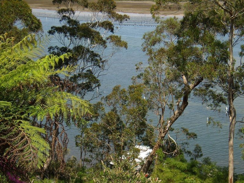 140 Stevens Road, Wonboyn NSW 2551