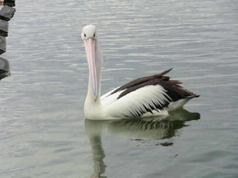 140 Stevens Road, Wonboyn NSW 2551