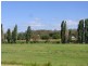 2474 Towamba Road, Towamba NSW 2550