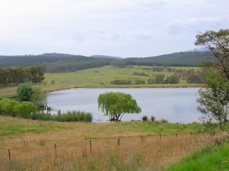 L12 Pericoe Road, Towamba NSW 2550