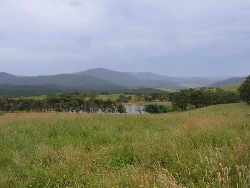 L12 Pericoe Road, Towamba NSW 2550