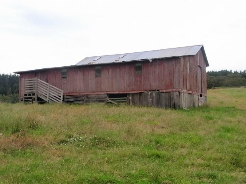 L12 Pericoe Road, Towamba NSW 2550