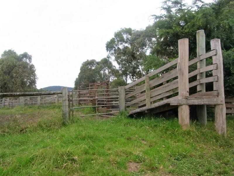 L12 Pericoe Road, Towamba NSW 2550