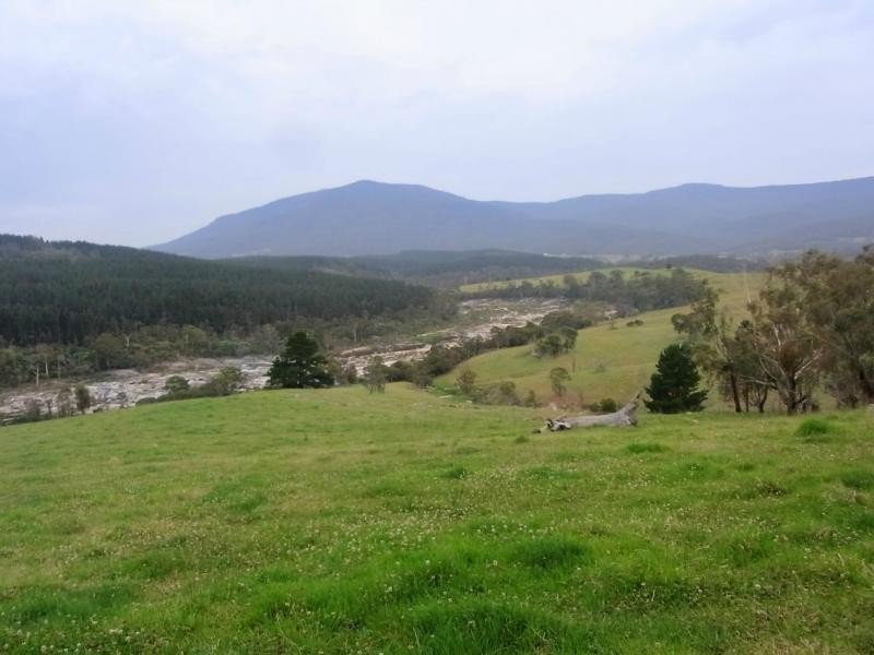 L12 Pericoe Road, Towamba NSW 2550
