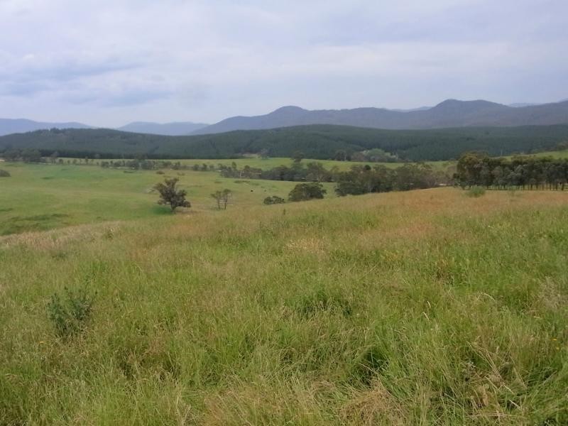 L12 Pericoe Road, Towamba NSW 2550