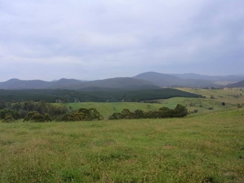 L12 Pericoe Road, Towamba NSW 2550