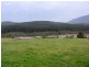 L12 Pericoe Road, Towamba NSW 2550