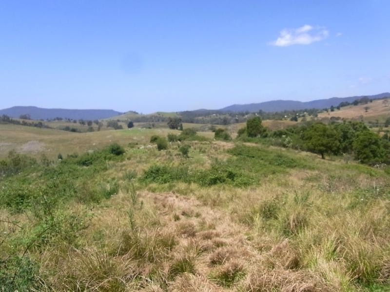 L71 Mt Darragh Road, Wyndham NSW 2550