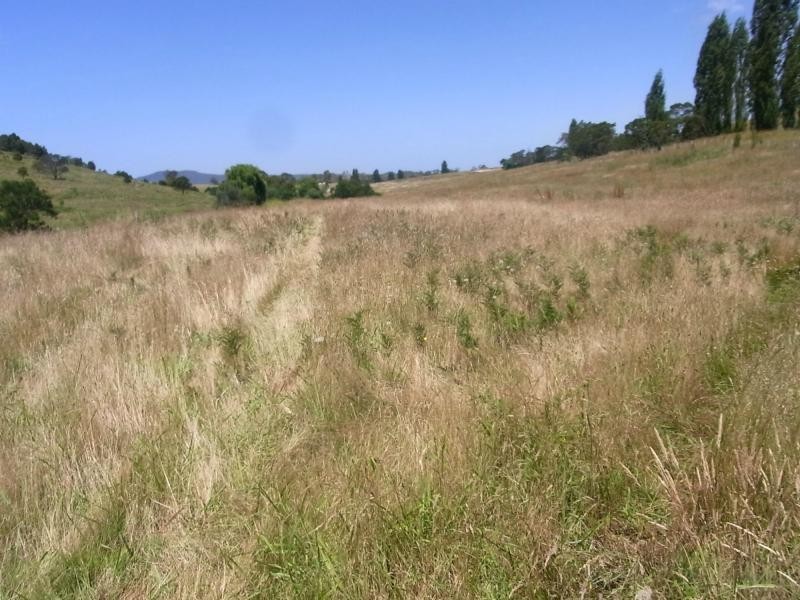 L71 Mt Darragh Road, Wyndham NSW 2550