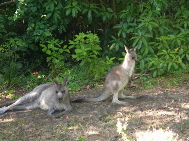Unit 2/1 Jinjera Parade, Pambula Beach NSW 2549