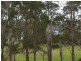 Unit 1/37 Ben Boyd Parade, Boydtown NSW 2551