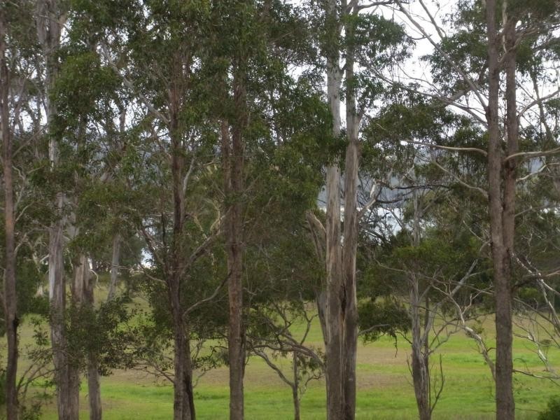 Unit 1/37 Ben Boyd Parade, Boydtown NSW 2551