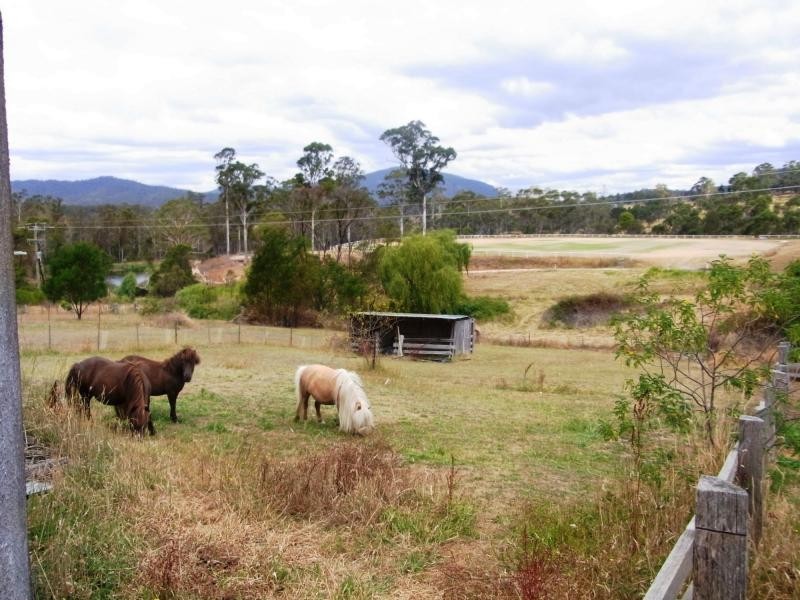 19 Gordon Street, Wyndham NSW 2550