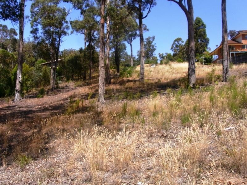 Boydtown NSW 2551