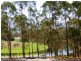 Boydtown NSW 2551