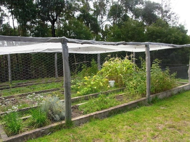 5 Kiaka Road, Nethercote NSW 2549