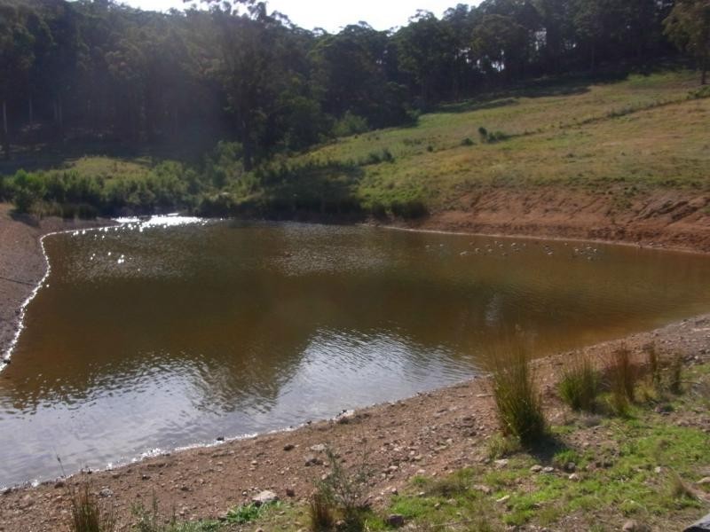 1101 Nethercote Road, Nethercote NSW 2549