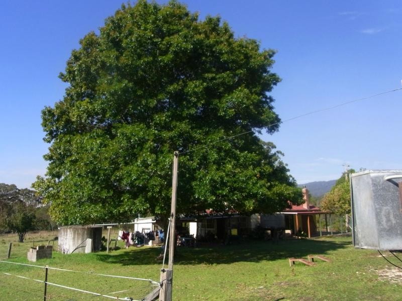 1101 Nethercote Road, Nethercote NSW 2549