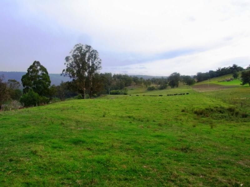 169 Log Farm Road, Towamba NSW 2550