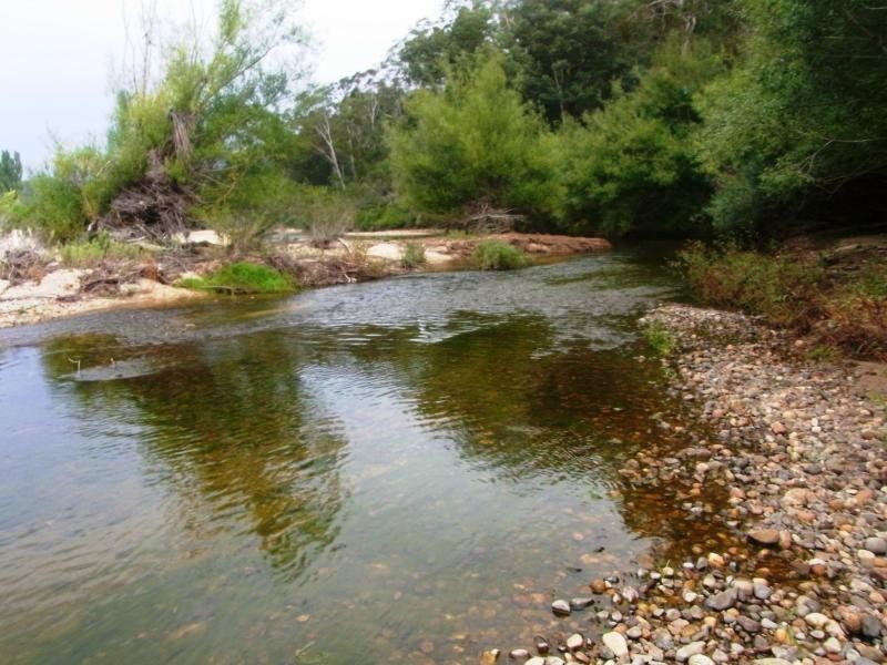 169 Log Farm Road, Towamba NSW 2550