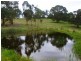 169 Log Farm Road, Towamba NSW 2550