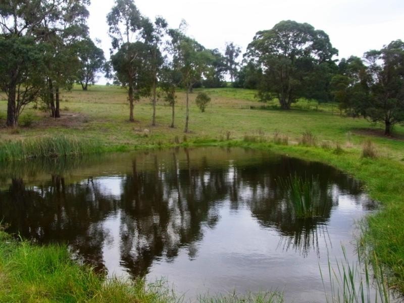 169 Log Farm Road, Towamba NSW 2550