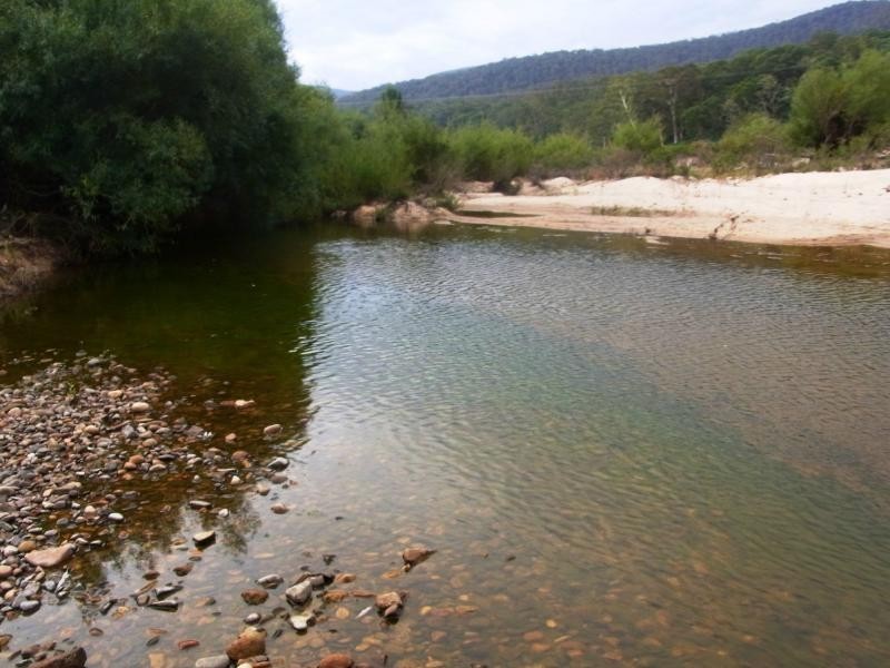 169 Log Farm Road, Towamba NSW 2550
